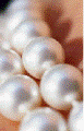 Pearlcium